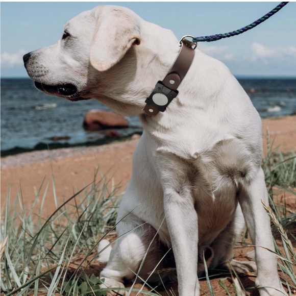 Dog Collar with Airtag Holder  (2 Pack Black & Brown, Large) - Picture 8 of 12